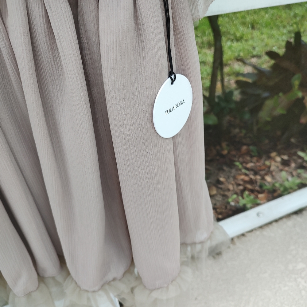 Telarosa/Revolv Ruffle  Mini Dress - Picture 9 of 9